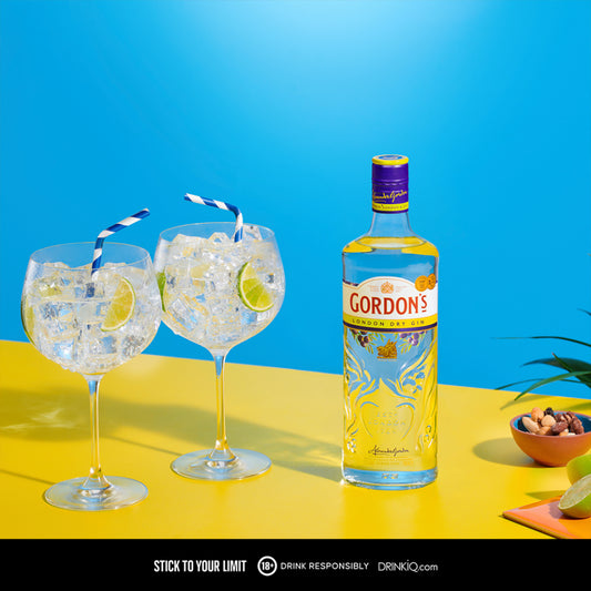 Gordon's London Dry Gin 1L