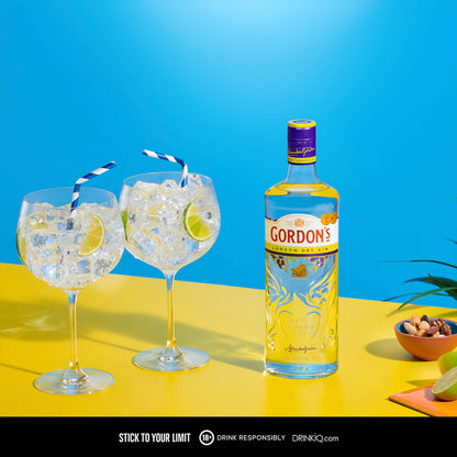Gordon's London Dry Gin 1L